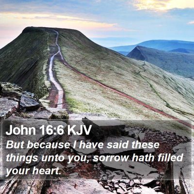 John 16:6 KJV Bible Verse Image