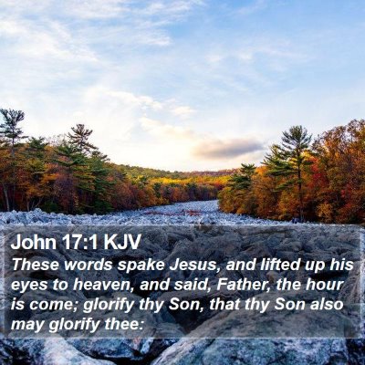 John 17:1 KJV Bible Verse Image