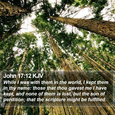 John 17:12 KJV Bible Verse Image