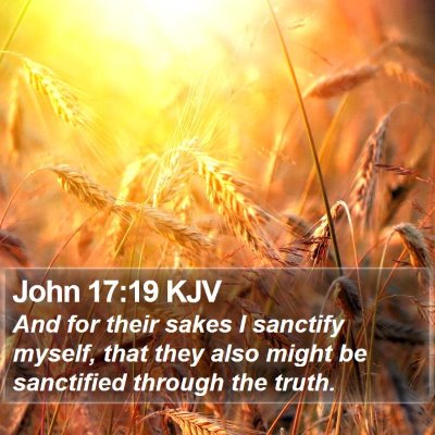 John 17:19 KJV Bible Verse Image