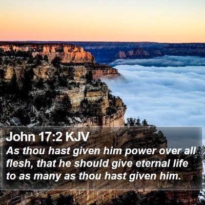 John 17:2 KJV Bible Verse Image