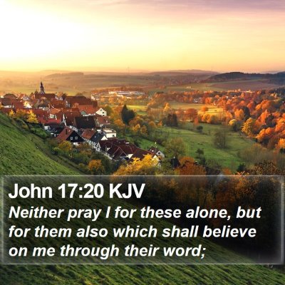 John 17:20 KJV Bible Verse Image