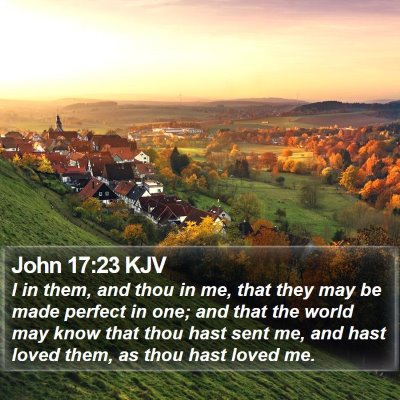 John 17:23 KJV Bible Verse Image