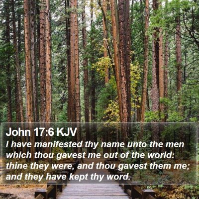 John 17:6 KJV Bible Verse Image