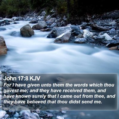 John 17:8 KJV Bible Verse Image