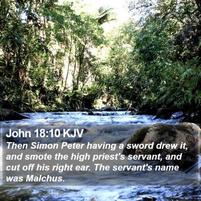 John 18:10 KJV Bible Verse Image