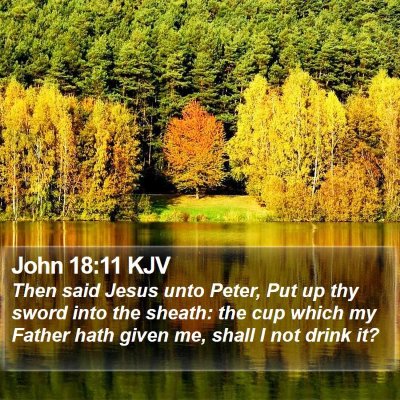 John 18:11 KJV Bible Verse Image
