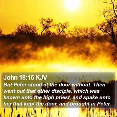 John 18:16 KJV Bible Verse Image