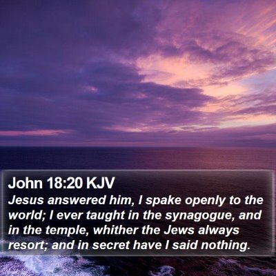 John 18:20 KJV Bible Verse Image