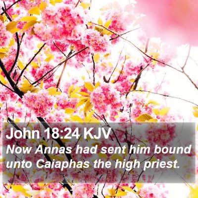 John 18:24 KJV Bible Verse Image