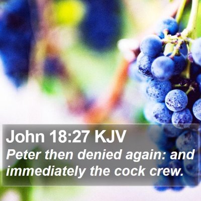 John 18:27 KJV Bible Verse Image