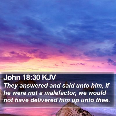 John 18:30 KJV Bible Verse Image