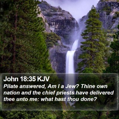John 18:35 KJV Bible Verse Image