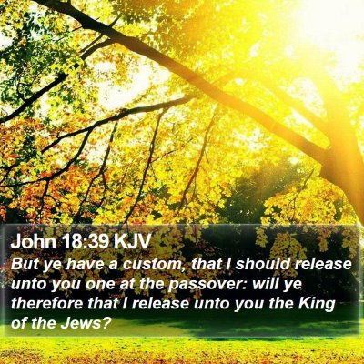 John 18:39 KJV Bible Verse Image