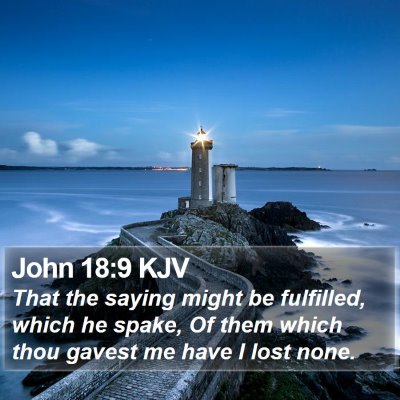 John 18:9 KJV Bible Verse Image