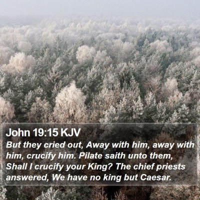 John 19:15 KJV Bible Verse Image