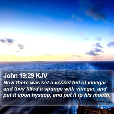 John 19:29 KJV Bible Verse Image