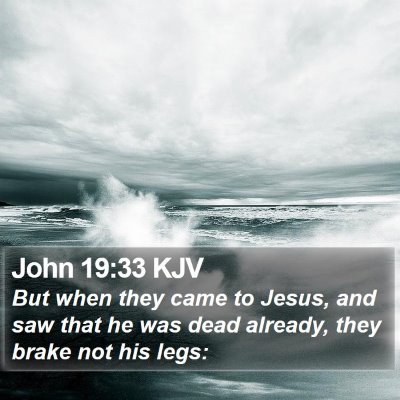 John 19:33 KJV Bible Verse Image