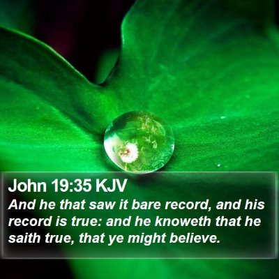 John 19:35 KJV Bible Verse Image