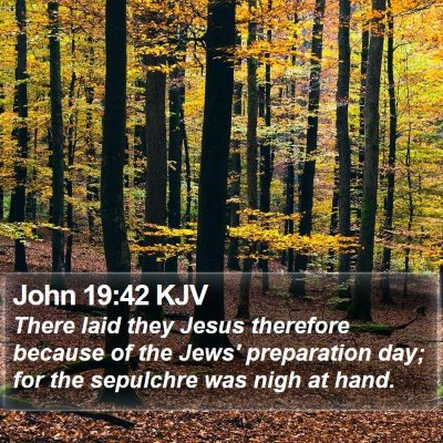 John 19:42 KJV Bible Verse Image