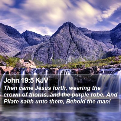 John 19:5 KJV Bible Verse Image