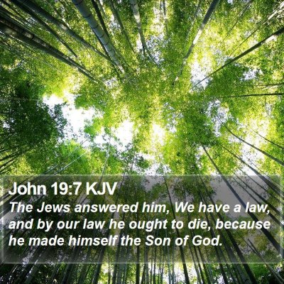John 19:7 KJV Bible Verse Image