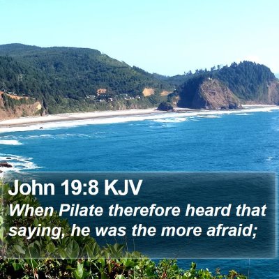 John 19:8 KJV Bible Verse Image