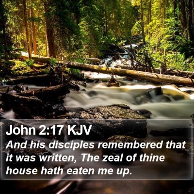 John 2:17 KJV Bible Verse Image