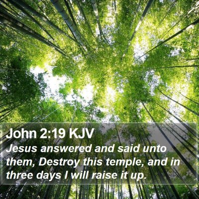 John 2:19 KJV Bible Verse Image