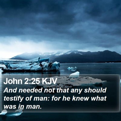 John 2:25 KJV Bible Verse Image