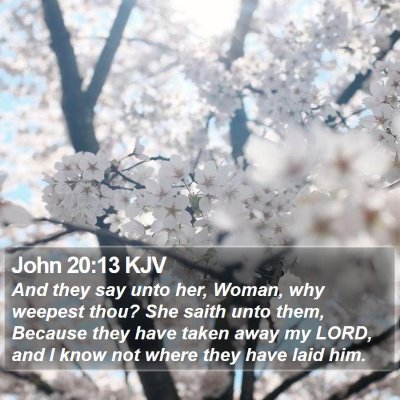 John 20:13 KJV Bible Verse Image