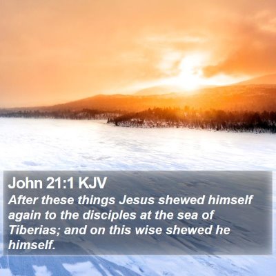 John 21:1 KJV Bible Verse Image