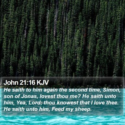 John 21:16 KJV Bible Verse Image
