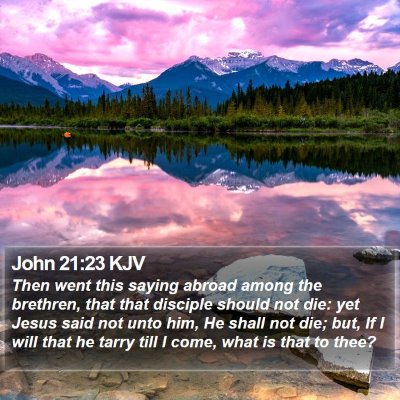 John 21:23 KJV Bible Verse Image