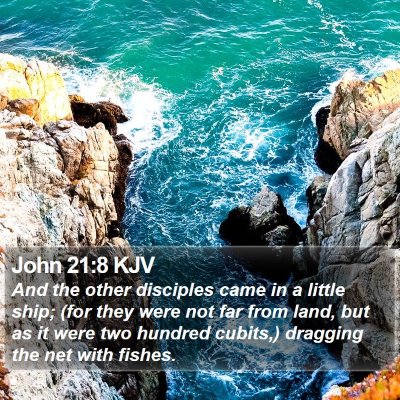John 21:8 KJV Bible Verse Image