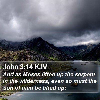 John 3:14 KJV Bible Verse Image