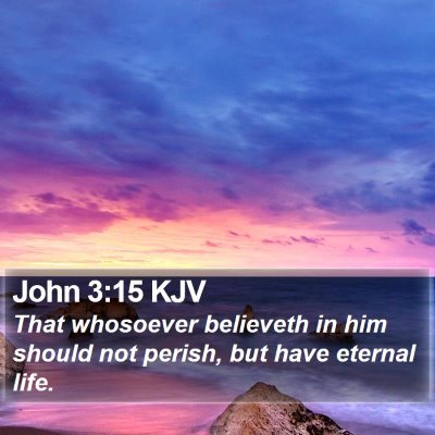 John 3:15 KJV Bible Verse Image