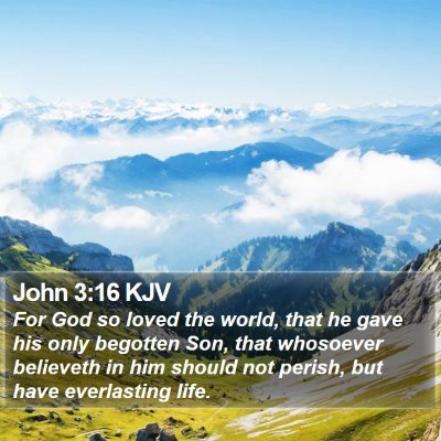John 3:16 KJV Bible Verse Image