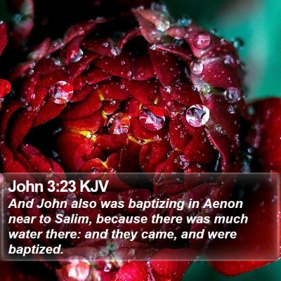 John 3:23 KJV Bible Verse Image