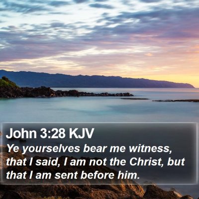 John 3:28 KJV Bible Verse Image
