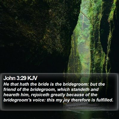 John 3:29 KJV Bible Verse Image