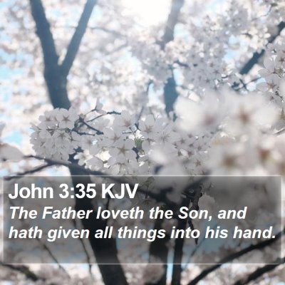John 3:35 KJV Bible Verse Image