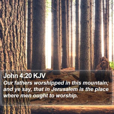 John 4:20 KJV Bible Verse Image