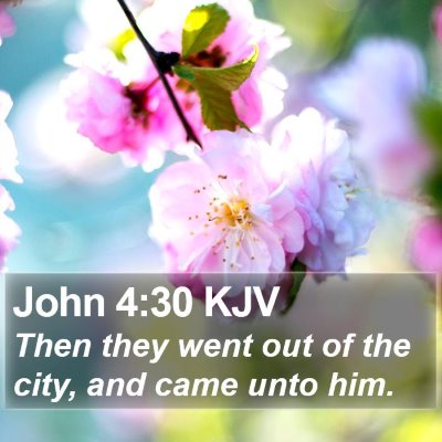 John 4:30 KJV Bible Verse Image