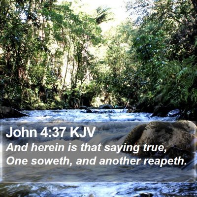 John 4:37 KJV Bible Verse Image