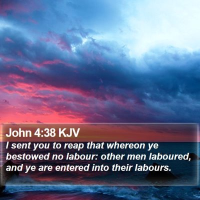 John 4:38 KJV Bible Verse Image