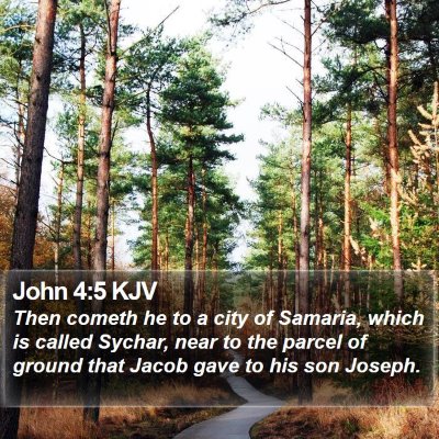 John 4:5 KJV Bible Verse Image