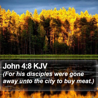 John 4:8 KJV Bible Verse Image