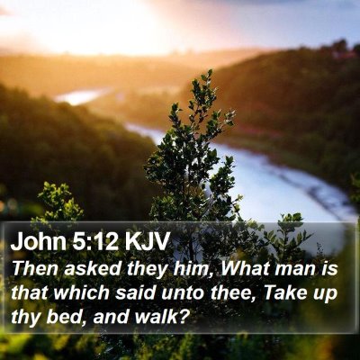 John 5:12 KJV Bible Verse Image