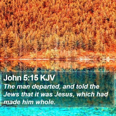 John 5:15 KJV Bible Verse Image